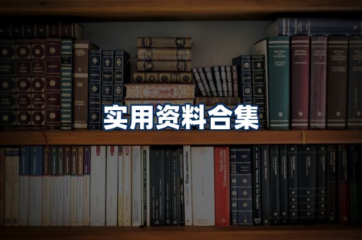 实用PDF资料展示