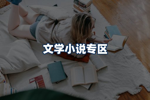 文学小说PDF展示